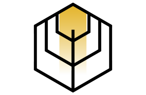 hexagonal icon with connections in lines to look like an leaf